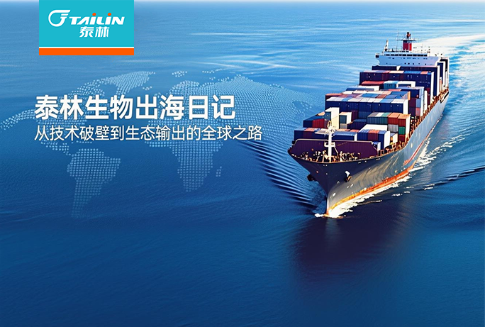 ̩����������ռ� | �Ӽ����Ʊڵ���̬�����ȫ��֮·