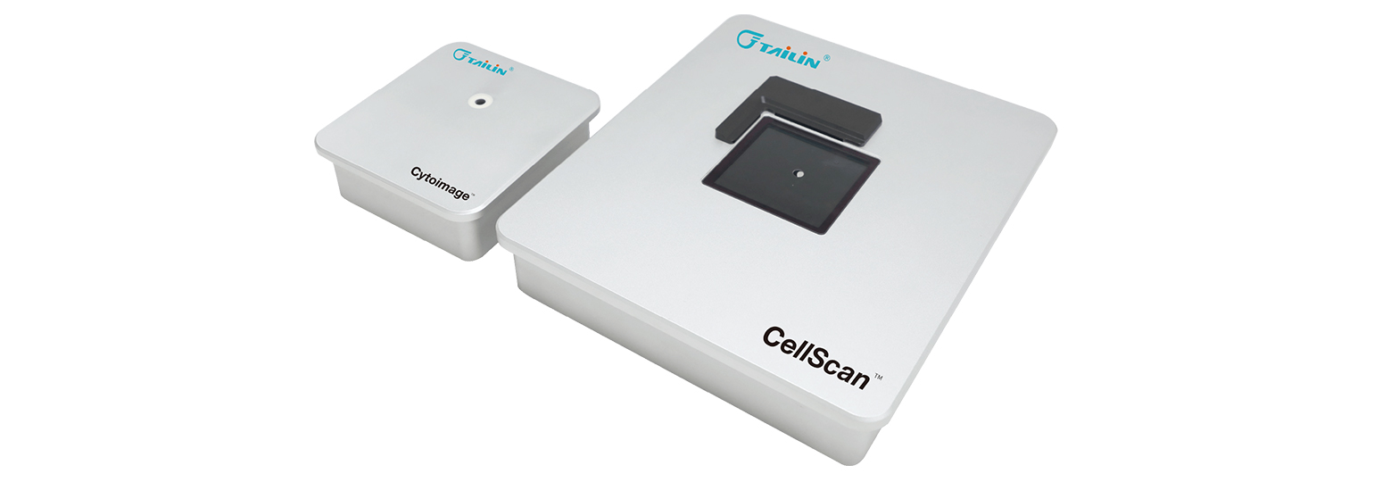 ��ϸ����������